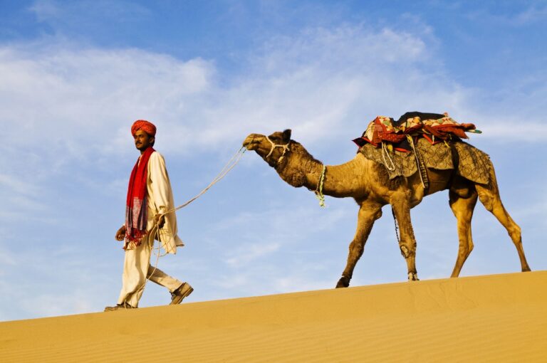 Explore Rajasthan : Discover the Majesty of India’s Desert Jewel